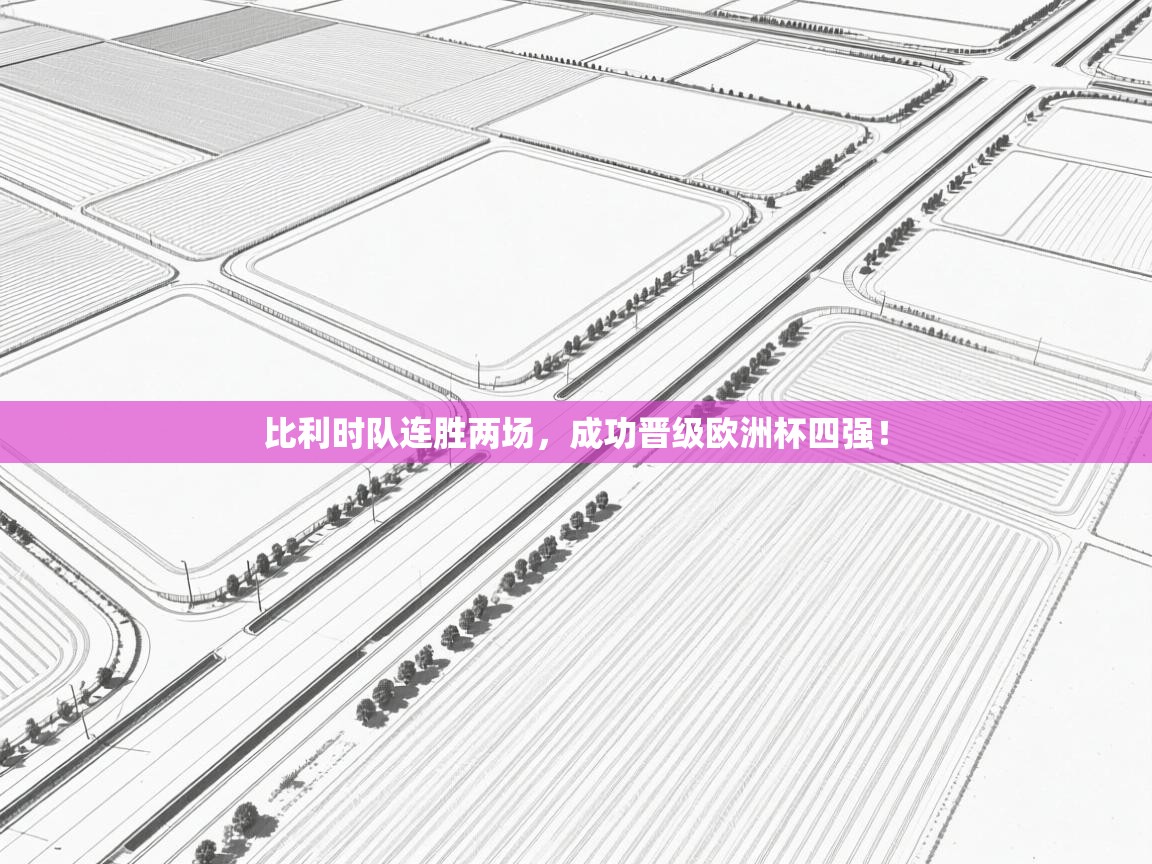 比利时队连胜两场,成功晋级欧洲杯四强! 第2张