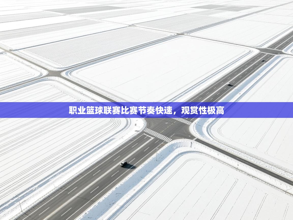 职业篮球联赛比赛节奏快速，观赏性极高  第2张